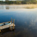 A wooden dock extending into a calm lake, with reeds, morning light, misty shoreline, and trees under a pale sky.