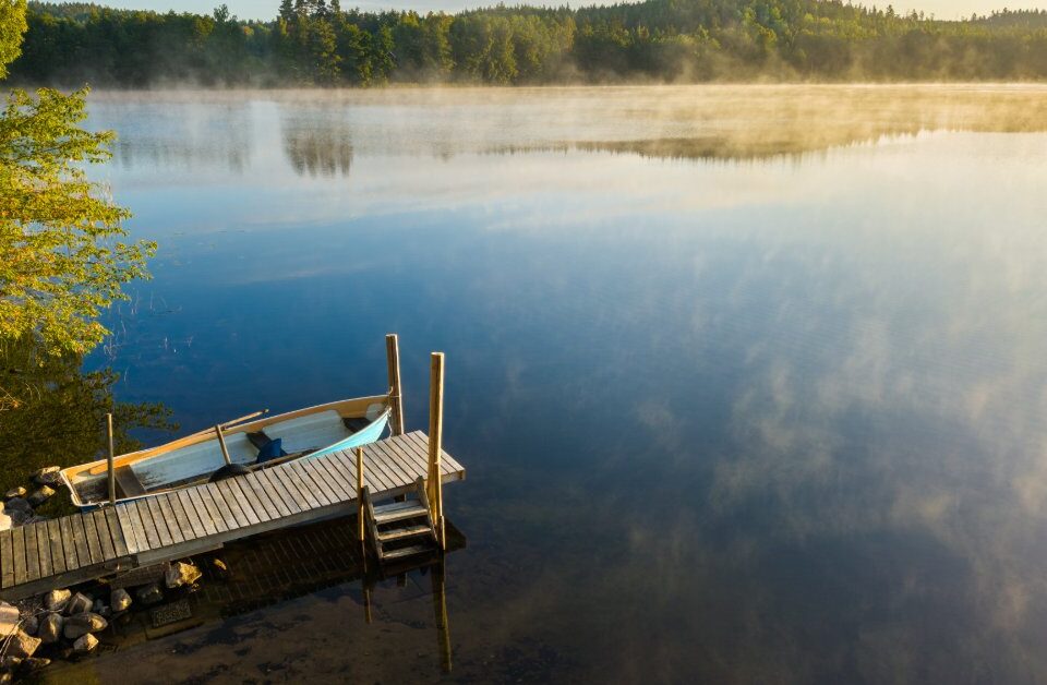 A wooden dock extending into a calm lake, with reeds, morning light, misty shoreline, and trees under a pale sky.